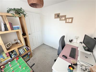 Picture 21